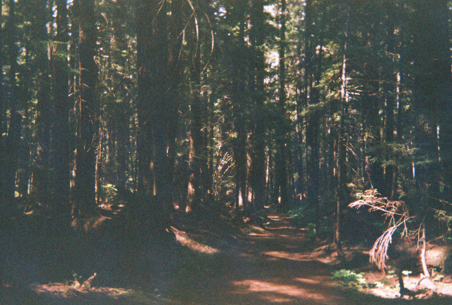 Description of image 7