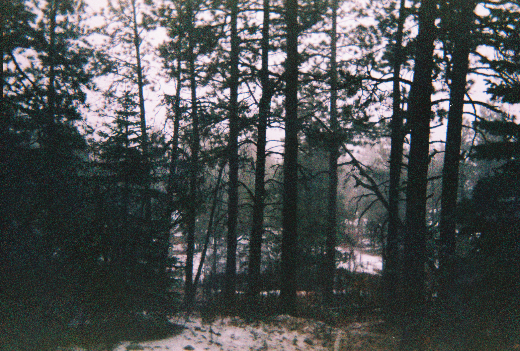 Description of image 7