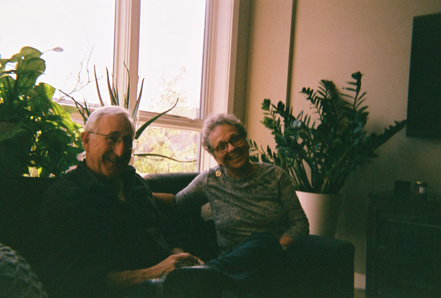 Description of image 6