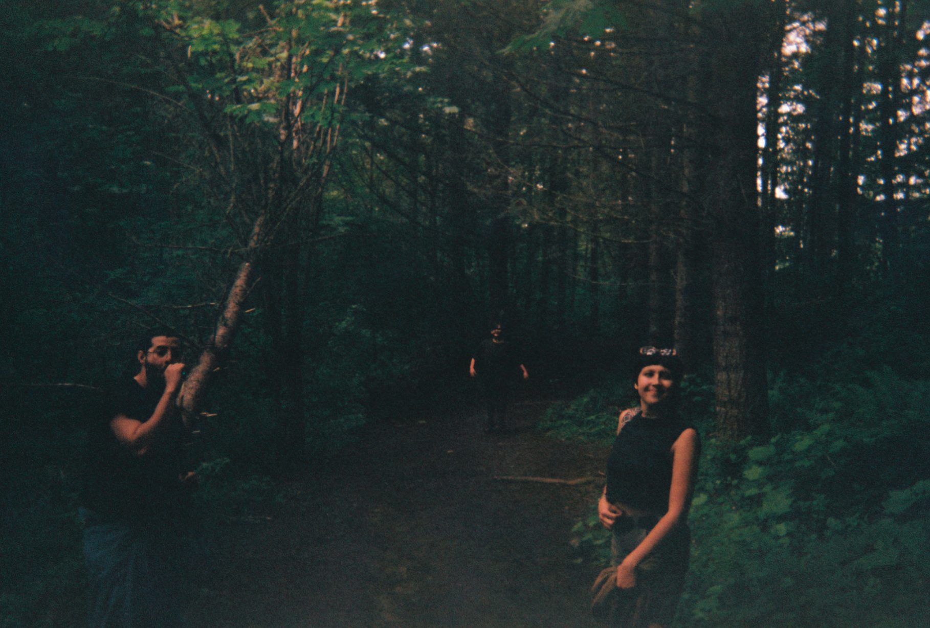 Description of image 7